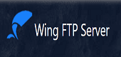 Wing FTP Server Coupon Codes