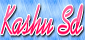 Kashu Sd Coupon Codes